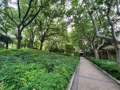 -徐家汇源景区-衡山公园