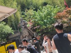 -将军关探险漂流