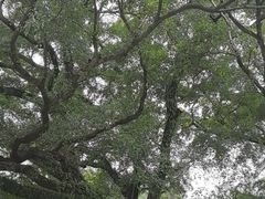 -桂林独秀峰王城景区