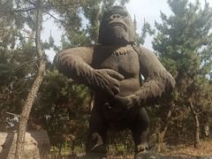 -太阳部落