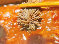 -安胖老火锅(两路口店)