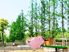 -前小桔亲子创意农场·草莓采摘·露营烧烤