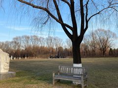 -长春世界雕塑园冰雪艺术天地