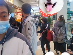 -龍歌自助小火锅(李沧顺和汇店)