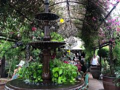-The Grounds of Alexandria