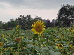 -同济大学(嘉定校区)