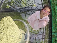 -黄海国家森林公园