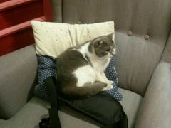 小灰-MIKAKU(万达广场上海宝山店)