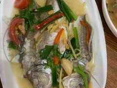 黄立鱼-宏记汕头白粥店(江怡店)