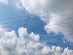 -青龙山国家森林公园
