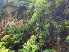 -神龙峡风景区