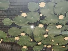 -福慧慈缘素食餐厅(王府井店)