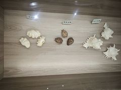 -广东惠东海龟国家级自然保护区