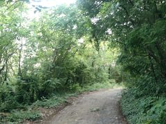 -头陀岭景区