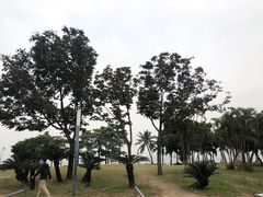 -深圳湾公园(南山区)