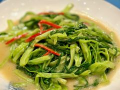 -悦州山庄(奥体路店)