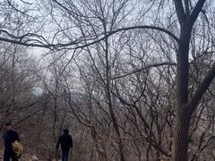 -棋盘山风景区