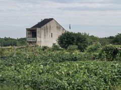 -贡湖湾湿地公园