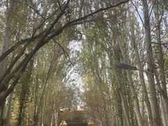 -艾提尕尔清真寺