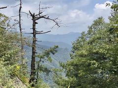 -秦岭终南山世界地质公园翠华山景区