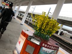-婺源站