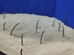 -上海海洋水族馆