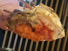 -蒙肥羊·酸汤潮牛·鲜牛肉火锅烤肉自助(岗顶店)