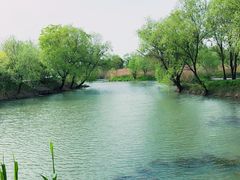 -长兴太湖图影湿地文化园