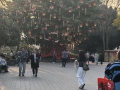 -磁器口古镇