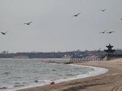 -老虎石海上公园