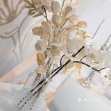 宁波婚礼💒小预算的香槟色婚礼策划