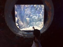 -福州罗源湾海洋世界旅游区