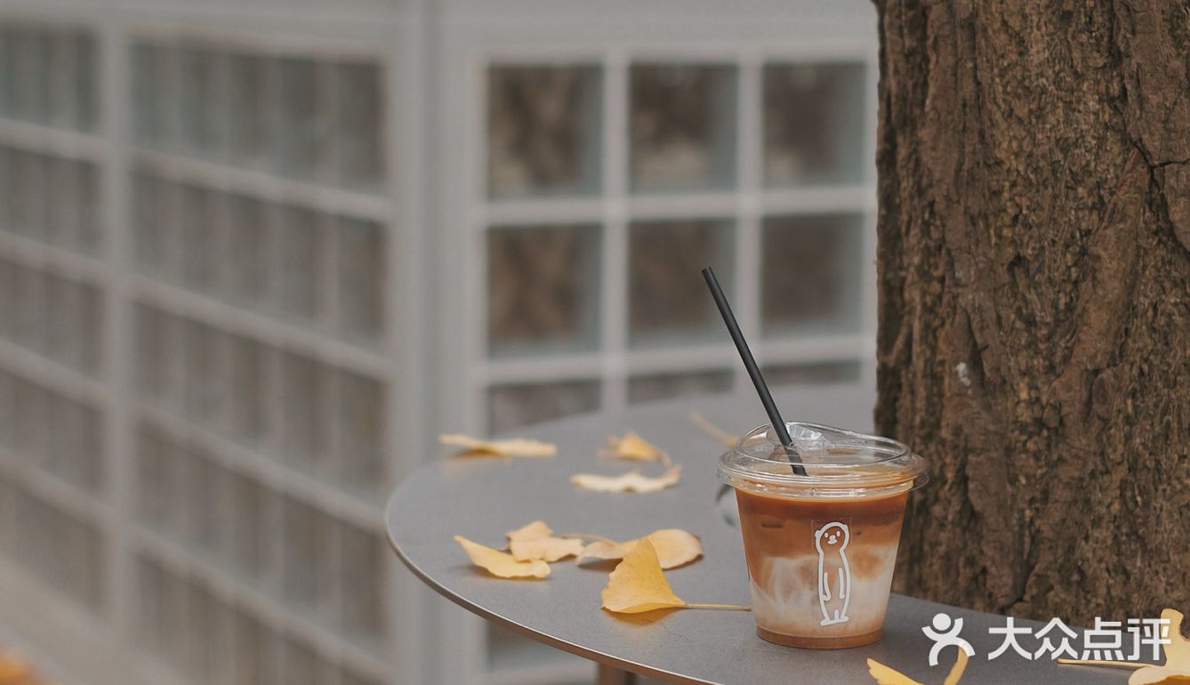 魔都秋天最火的银杏咖啡店