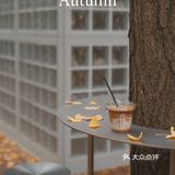 魔都秋天最火的银杏咖啡店