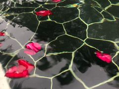 -海兰云天度假区温泉