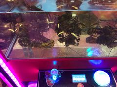 -百佳永辉超市(福田星河店)