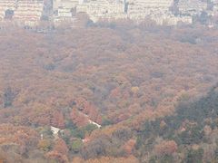 -紫金山山顶公园