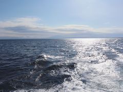 -网走流冰观光破冰船极光号