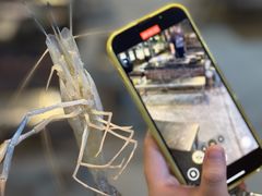 -粮心小农·大头虾亲子生态园(长发店)