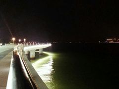 -演武大桥观景平台