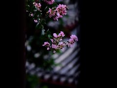 -龙潭水乡