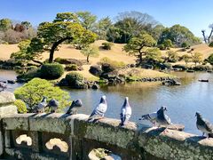 -水前寺成趣园