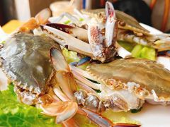 梭子蟹-吉友粥底火锅(方斜路店)