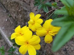 -苏州河梦清园环保主题公园