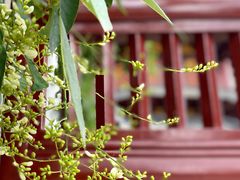 -龙华寺