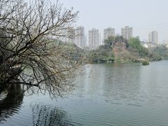 -重庆彩云湖湿地公园