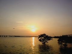 -宝安西湾红树林湿地公园