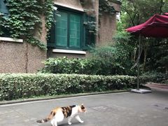 -巴金故居