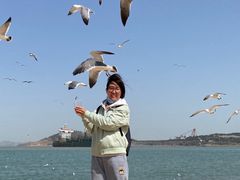 -海驴岛(荣成市)