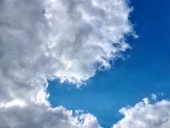 -白塘生态植物园